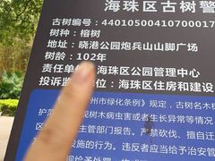 -晓港公园