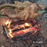   休闲的一天[调皮]