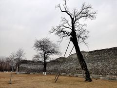 -北京明城墙遗址公园