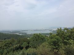 -香雪海