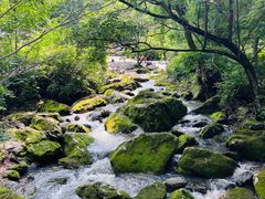 -香炉山国家森林公园
