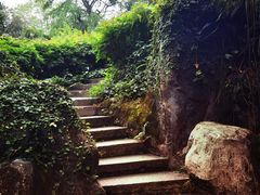 -广州兰圃