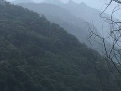 -广州市流溪河国家森林公园