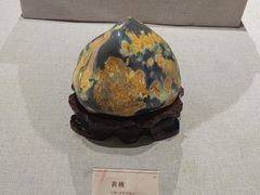 -安徽省地质博物馆