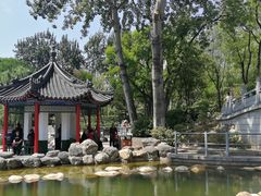 -莲湖公园