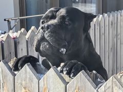 -北京群众马术培训基地