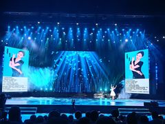 -小荧星艺校(浦东中环分校)