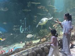 -华夏文旅海洋公园