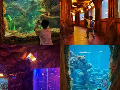 -长鹿旅游休博园