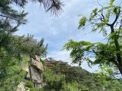 -泰山风景名胜区