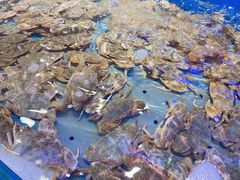 -澜悦港海鲜体验主题餐厅