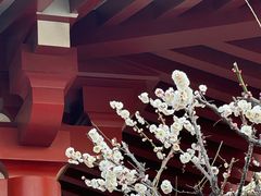 -浅草寺