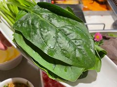 -海底捞火锅(高新活力汇店)