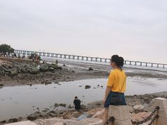 -宝安西湾红树林湿地公园