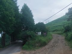 -东白山