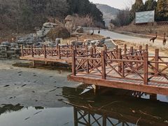 -北京西山国家森林公园