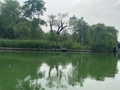 -济南大明湖景区