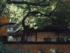-天台山景区