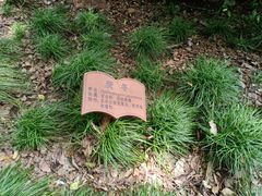 -上海佘山国家森林公园西佘山园