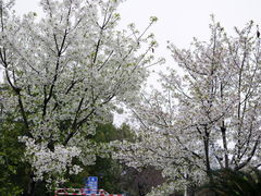 -玉山公园