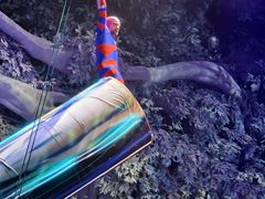 -广州长隆国际大马戏