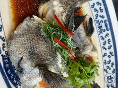 芝麻斑-宁波状元楼酒店(和义路店)