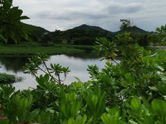 -沙美村