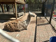 -长白岛森林公园