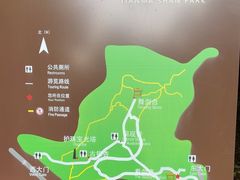 -上海佘山国家森林公园天马山园