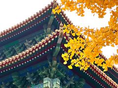 -故宫博物院(故宫)