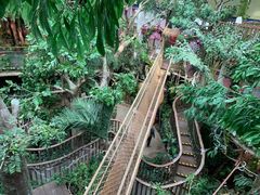 -正佳雨林生态植物园