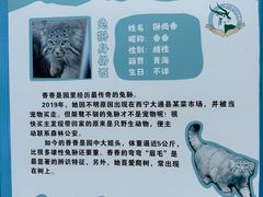 -青藏高原野生动物园