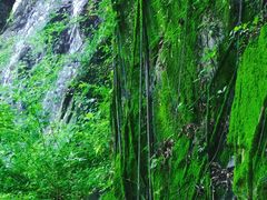 -清源山美食·云顶文化创意园