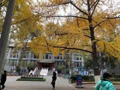 -四川大学(华西校区)