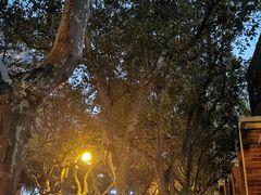 -普朗姆生蚝吧(原建国路店)