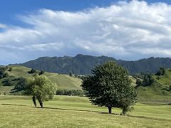 -新疆那拉提国家旅游度假区