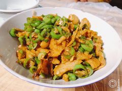 -壹盏灯(惠农店)