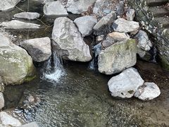 -藏龙百瀑风景区