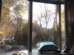 -奈瑞儿美颜塑身SPA