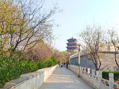 -永定河休闲森林公园