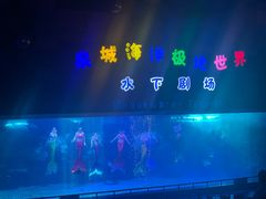 -泉城欧乐堡海洋极地世界