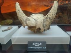 -河姆渡遗址博物馆