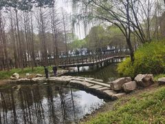 -巡塘古镇
