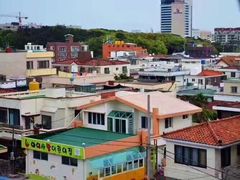 -涉地可支