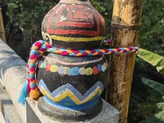 -西双版纳原始森林公园