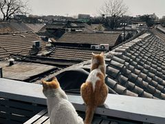 -前叁門