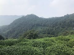 -西湖风景区十里琅珰-五云山