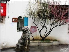 -香雪海