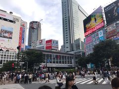 -涩谷区