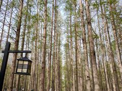 -河南省黄河迎宾馆